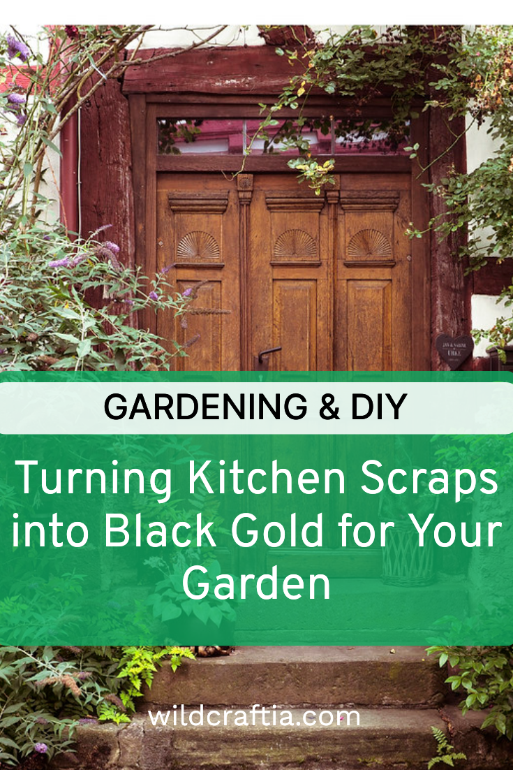 Turning Kitchen Scraps into Black Gold for Your Garden
