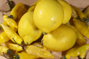 hot_lemons_R5-1291